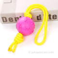 Multicolor bon marché durable TPR Pet Dog Rope Toys